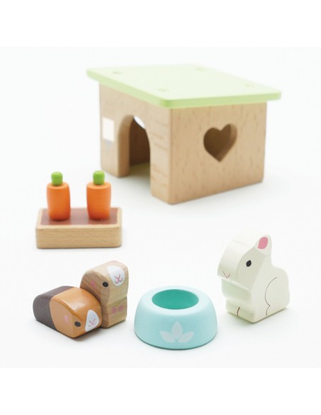 LAPIN ET COCHON D'INDE