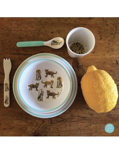 COFFRET CADEAU 5 PIÈCES LES JAGUARS