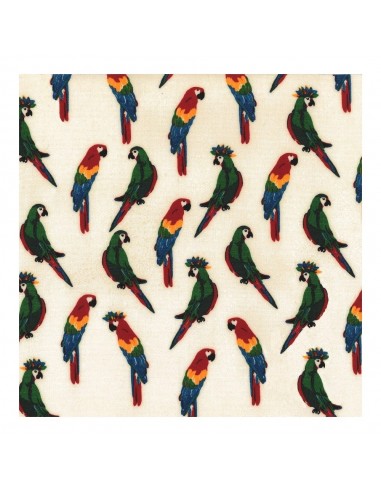 POCHETTE THERMIQUE LES PERROQUETS