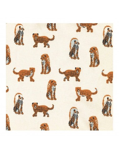 POUSSETTE LES JAGUARS