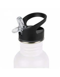Petite gourde en inox les poissons (0.35l) 2