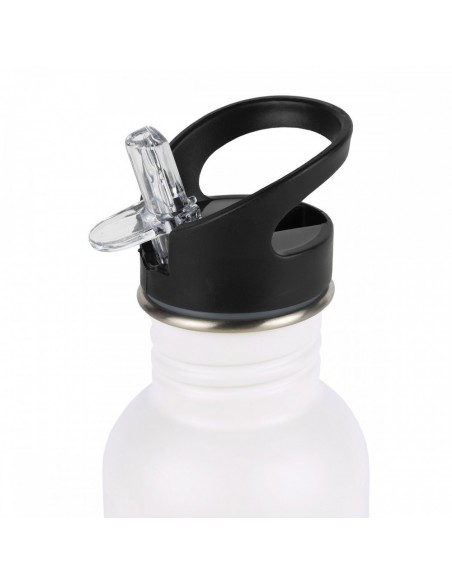 Petite gourde en inox les poissons (0.35l)