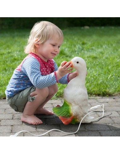 LAMPE CANARD