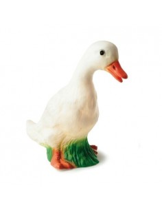 LAMPE CANARD