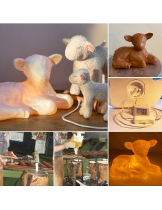 LAMPE MARY 2