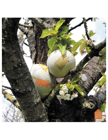 Ballon L'Aventure petit modèle