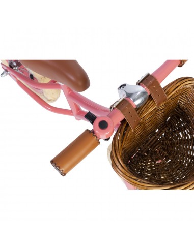 Draisienne - Vélos D'équilibre vintage Banwood...