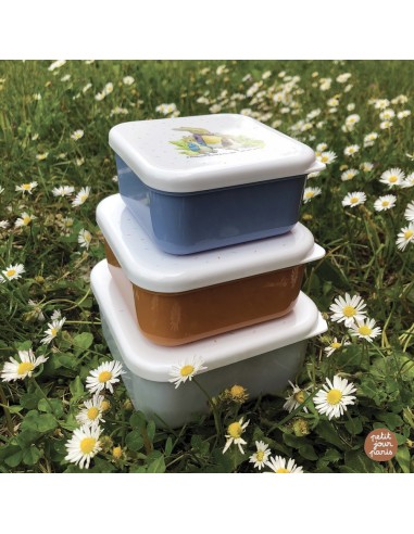 SET DE 3 LUNCH BOX PETER RABBIT