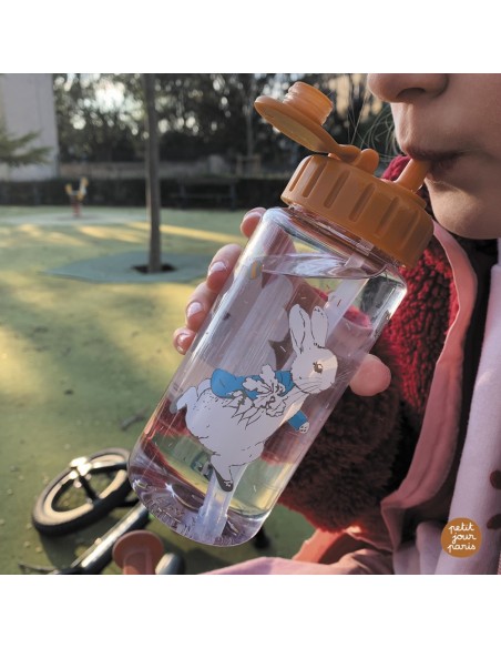 GOURDE PIERRE LAPIN 0.35l