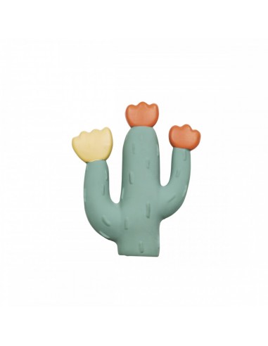 Jouet de bain en caoutchouc naturel - Cactus