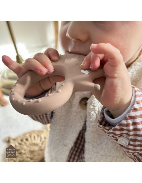 Anneau de dentition en caoutchouc naturel - Hérisson