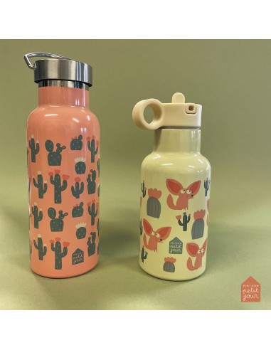 Gourde Isotherme Cactus