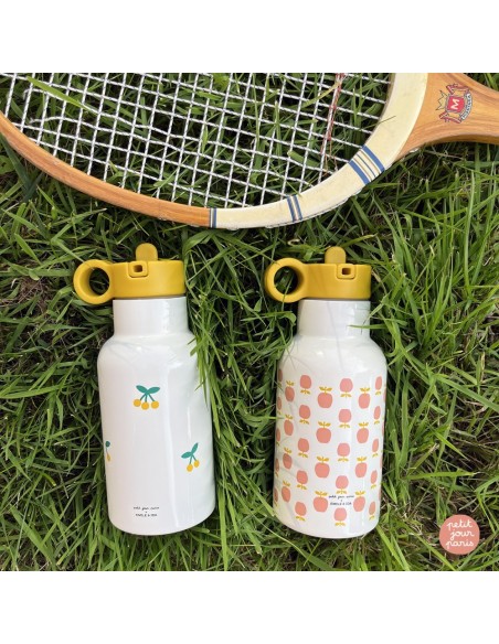 Mini Gourde Isotherme Pommes