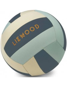 Ballon de volley bleu