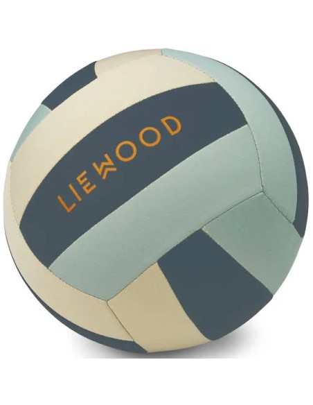Ballon de volley bleu