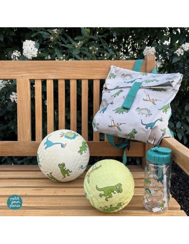 Ballon Les Dinosaures petit modèle