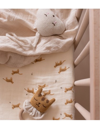 Anneau de dentition tigre