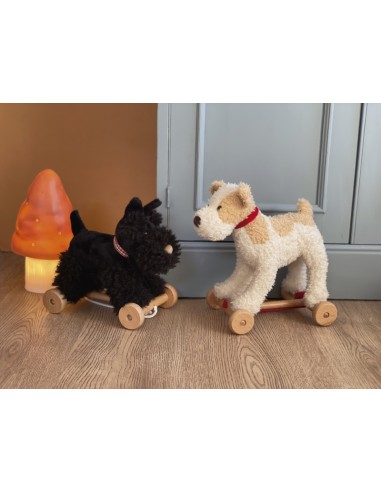 Chien Eliot à tirer