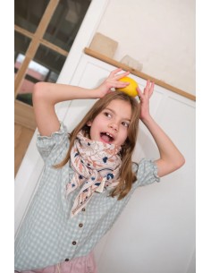 Foulard Dehli Prusse