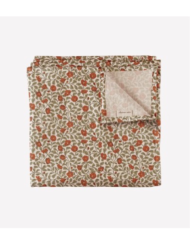 Grand lange  | Quincy tree