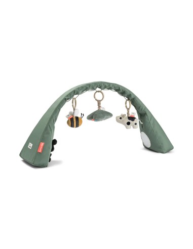 Arche d'activité - Tiny farm - vert