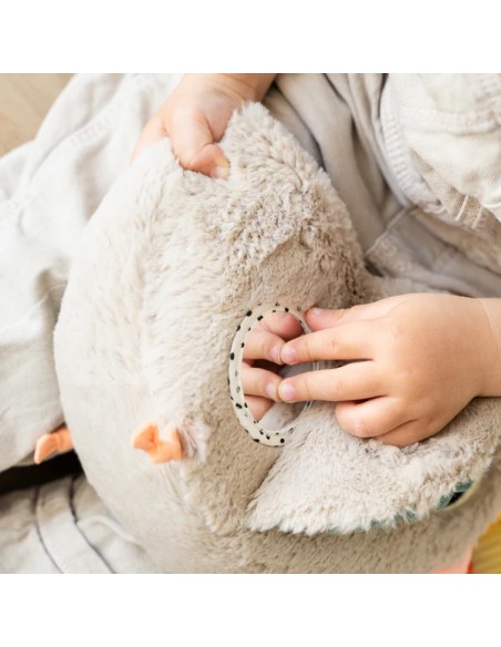 Jouet d'activité cache-cache - Clucky - sable