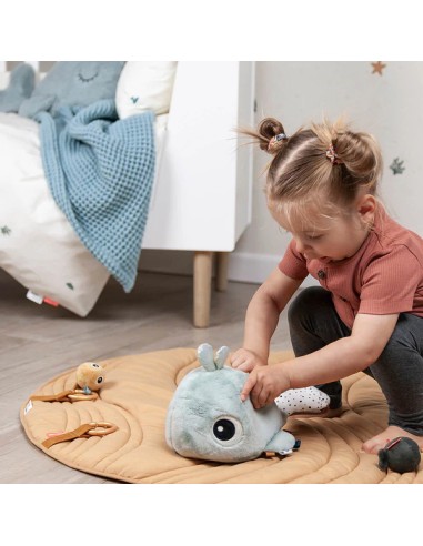 Jouet d'éveil Hide&Seek - Wally - Bleu
