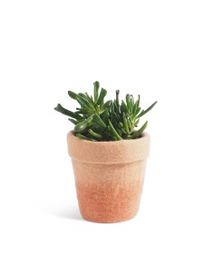 POT DE FLEURS 20, M, terre cuite