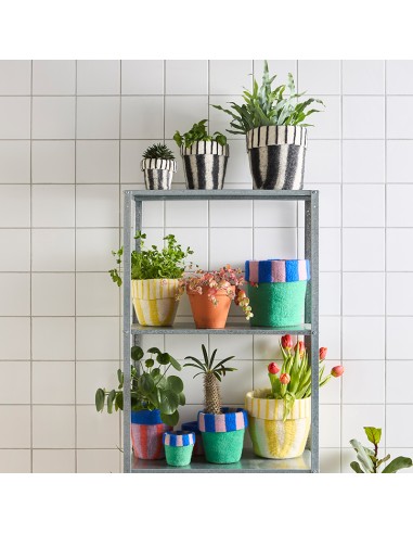 POT DE FLEURS 20, M, limonade