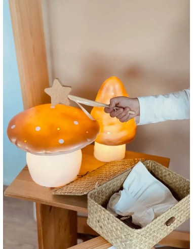 Moyenne lampe champignon - Terra