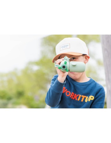 Zoo Video - Dino Vert