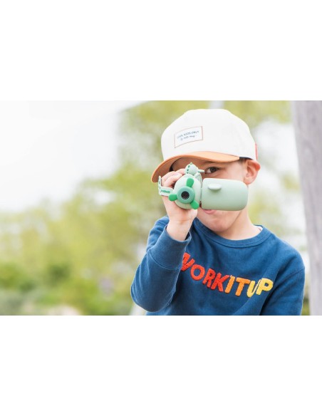 Zoo Video - Dino Vert