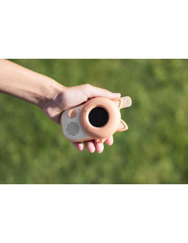 Zoo Talkie Walkie - Duo Renard