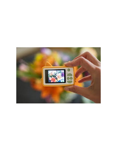 Zoo Friends - Renard