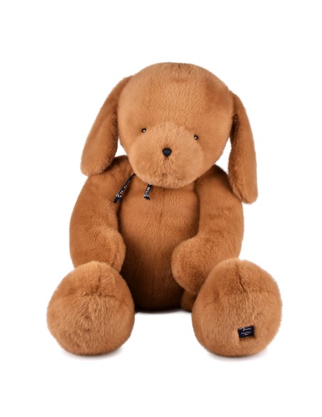 Chien caramel Sowen Maïlou