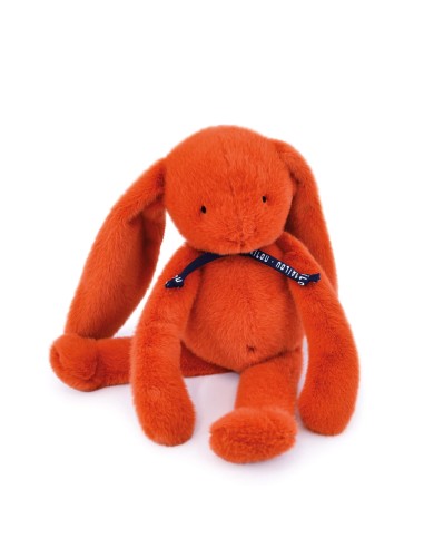 Lapin Méloé Orange Potiron