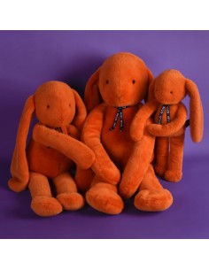 Lapin Méloé Orange Potiron 2