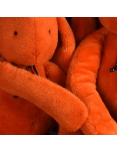 Lapin Méloé Orange Potiron