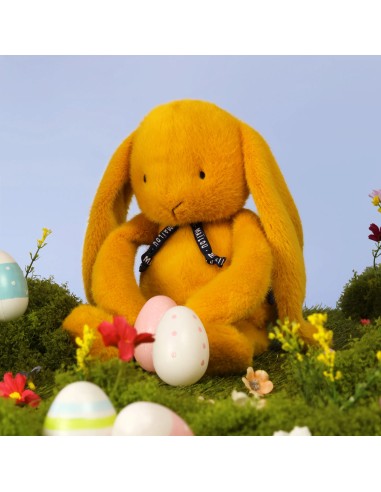Lapin Méloé – Safran