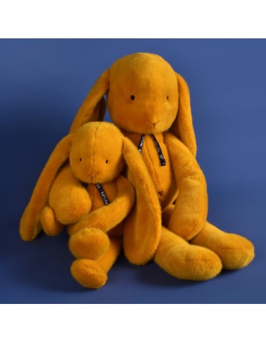 Lapin Méloé – Safran