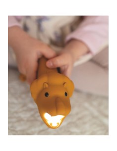 Lampe torche Lion LEO 2