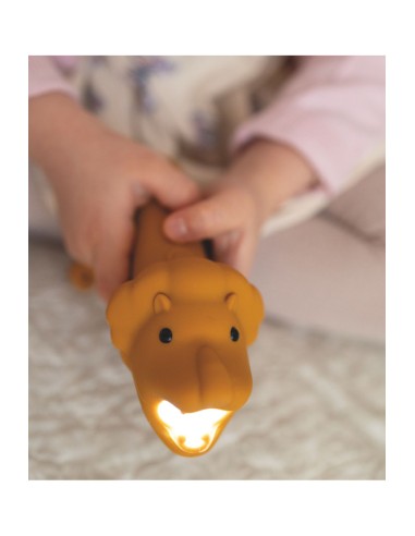 Lampe torche Lion LEO