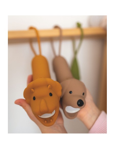 Lampe torche Lion LEO