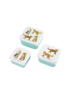 SET DE 3 LUNCH BOX LES JAGUARS