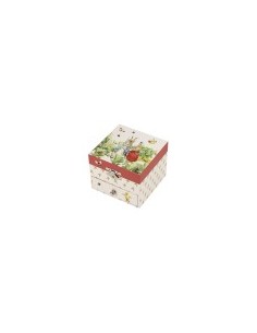 BAM cube - Peter Rabbit Libellule