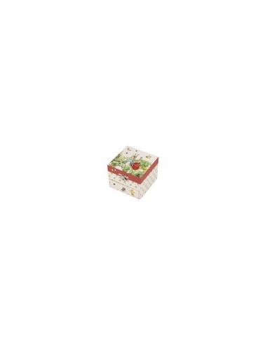 BAM cube - Peter Rabbit Libellule