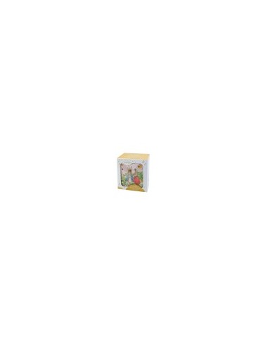 BAM cube - Peter Rabbit Libellule