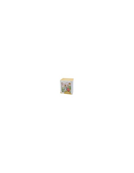 BAM cube - Peter Rabbit Libellule