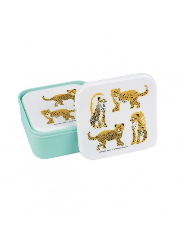 SET DE 3 LUNCH BOX LES JAGUARS