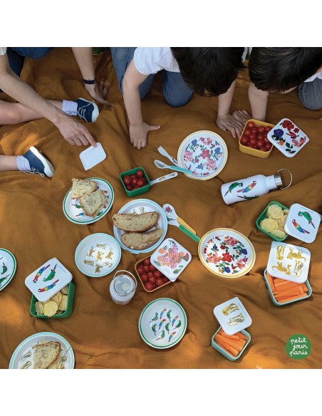 SET DE 3 LUNCH BOX LES JAGUARS